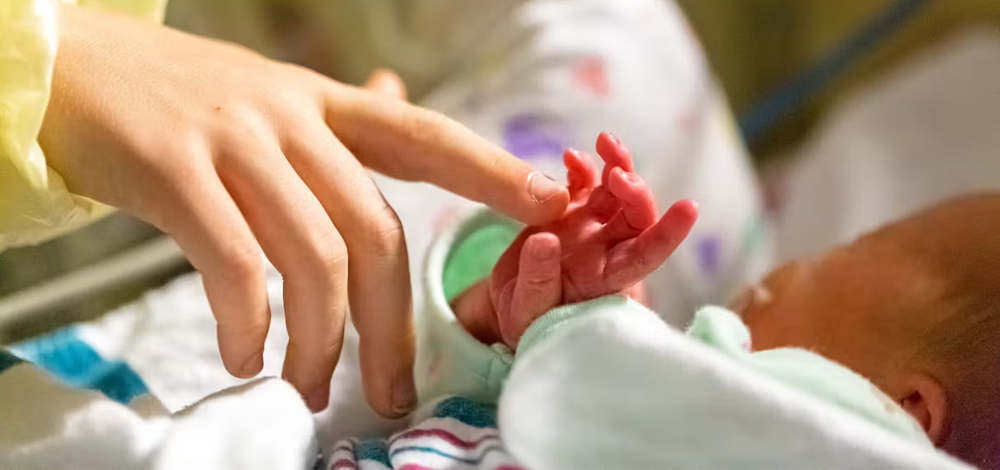 Neonatal Precision Thermoregulation Program